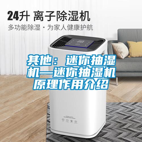 其他：迷你抽湿机—迷你抽湿机原理作用介绍