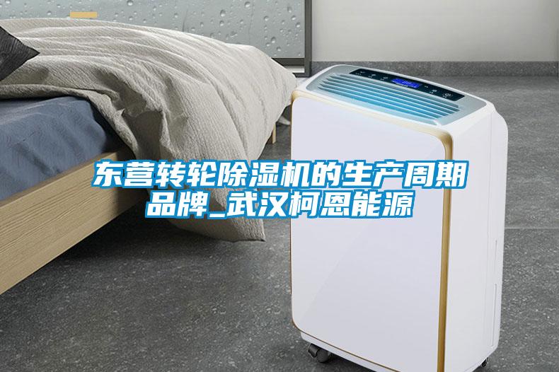 东营转轮粉色视频免费在线观看的生产周期品牌_武汉柯恩能源