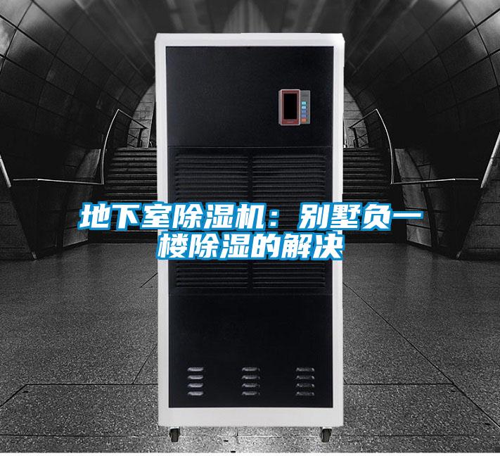 地下室粉色视频免费在线观看：别墅负一楼除湿的解决