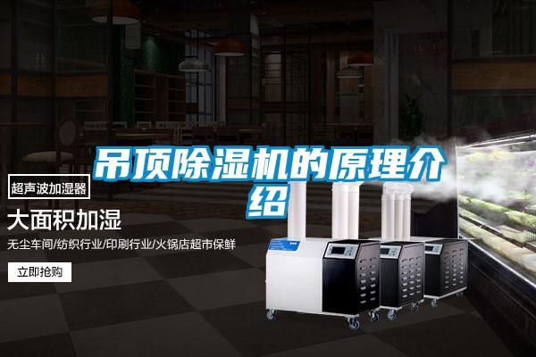 吊顶粉色视频免费在线观看的原理介绍