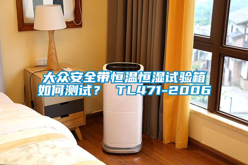 大众安全带恒温恒湿试验箱如何测试？ TL471-2006