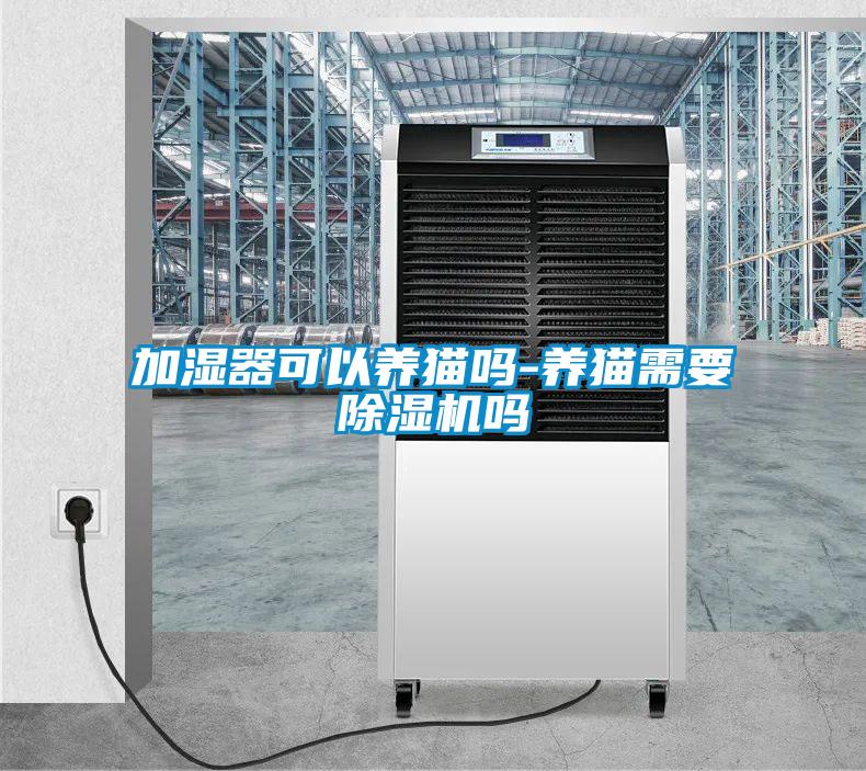 加湿器可以养猫吗-养猫需要粉色视频免费在线观看吗