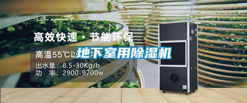 地下室用粉色视频免费在线观看