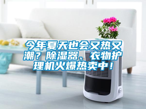 今年夏天也会又热又潮？除湿器、衣物护理机火爆热卖中！