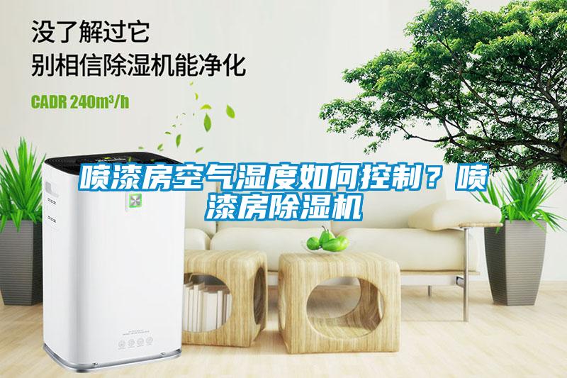 喷漆房空气湿度如何控制？喷漆房粉色视频免费在线观看