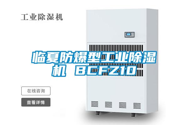 临夏防爆型工业粉色视频免费在线观看 BCFZ10