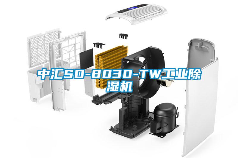 中汇SD-8030-TW工业粉色视频免费在线观看