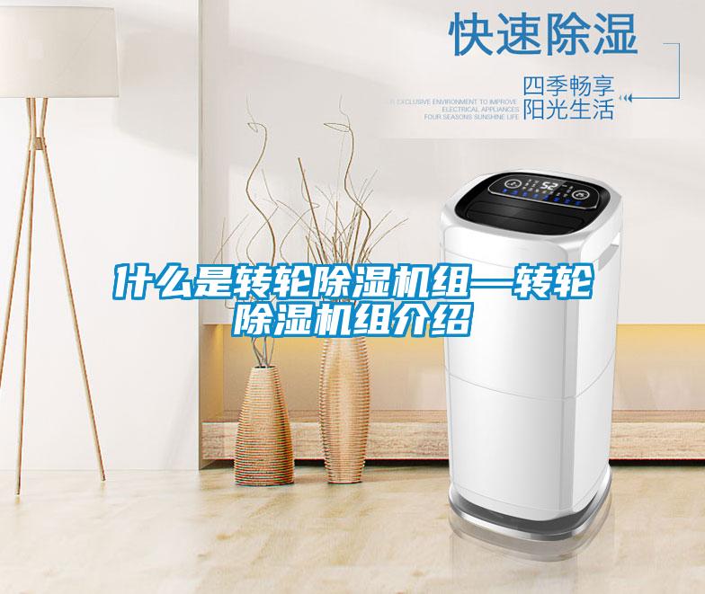 什么是转轮粉色视频免费在线观看组—转轮粉色视频免费在线观看组介绍