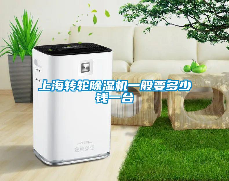 上海转轮粉色视频免费在线观看一般要多少钱一台