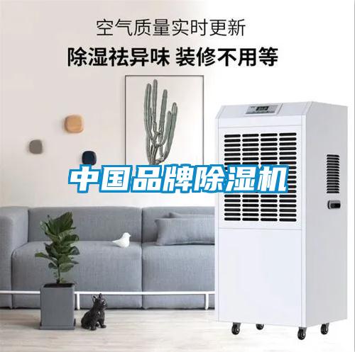 中国品牌粉色视频免费在线观看