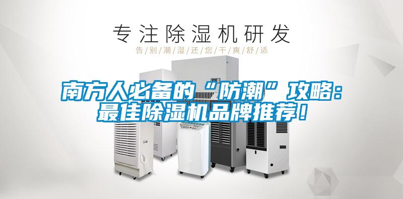 南方人必备的“防潮”攻略：最佳粉色视频免费在线观看品牌推荐！
