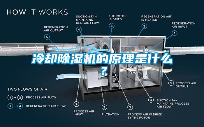 冷却粉色视频免费在线观看的原理是什么？