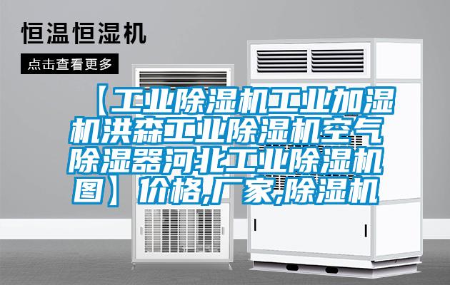 【工业粉色视频免费在线观看工业加湿机洪森工业粉色视频免费在线观看空气除湿器河北工业粉色视频免费在线观看图】价格,厂家,粉色视频免费在线观看
