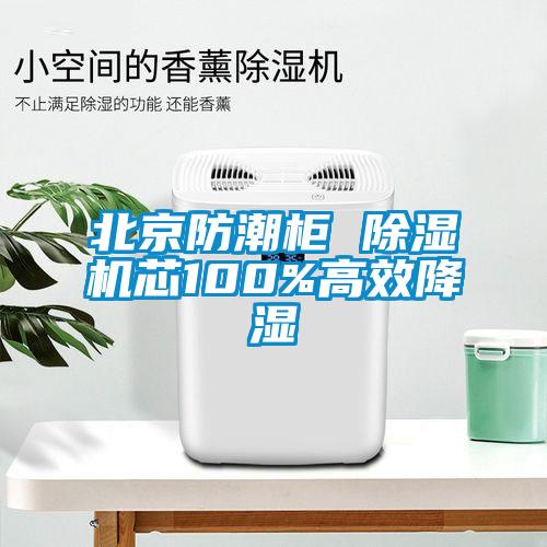 北京防潮柜 粉色视频免费在线观看芯100%高效降湿