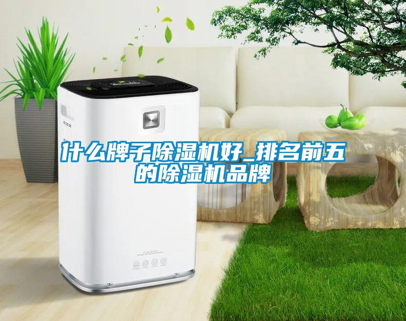 什么牌子粉色视频免费在线观看好_排名前五的粉色视频免费在线观看品牌