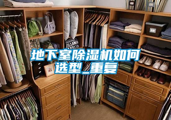 地下室粉色视频免费在线观看如何选型_重复