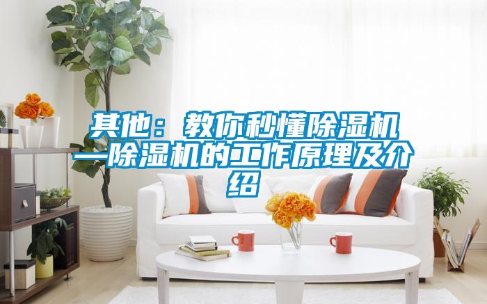 其他：教你秒懂粉色视频免费在线观看—粉色视频免费在线观看的工作原理及介绍