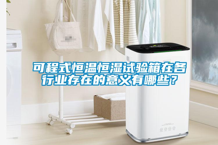 可程式恒温恒湿试验箱在各行业存在的意义有哪些？
