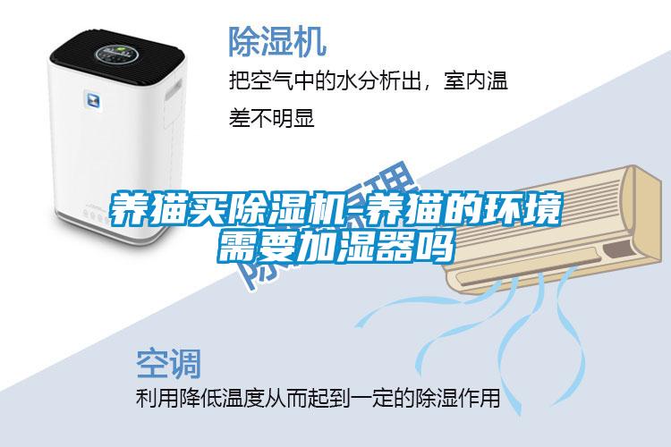 养猫买粉色视频免费在线观看-养猫的环境需要加湿器吗