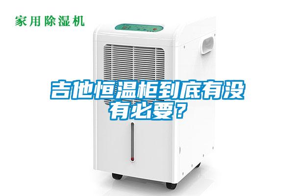 吉他恒温柜到底有没有必要？