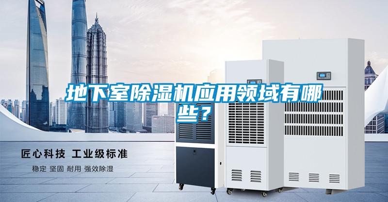 地下室粉色视频免费在线观看应用领域有哪些？