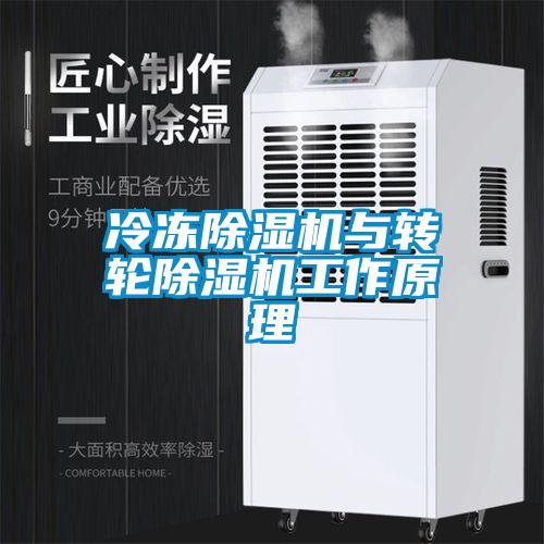 冷冻粉色视频免费在线观看与转轮粉色视频免费在线观看工作原理