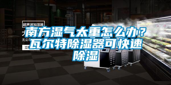南方湿气太重怎么办？瓦尔特除湿器可快速除湿