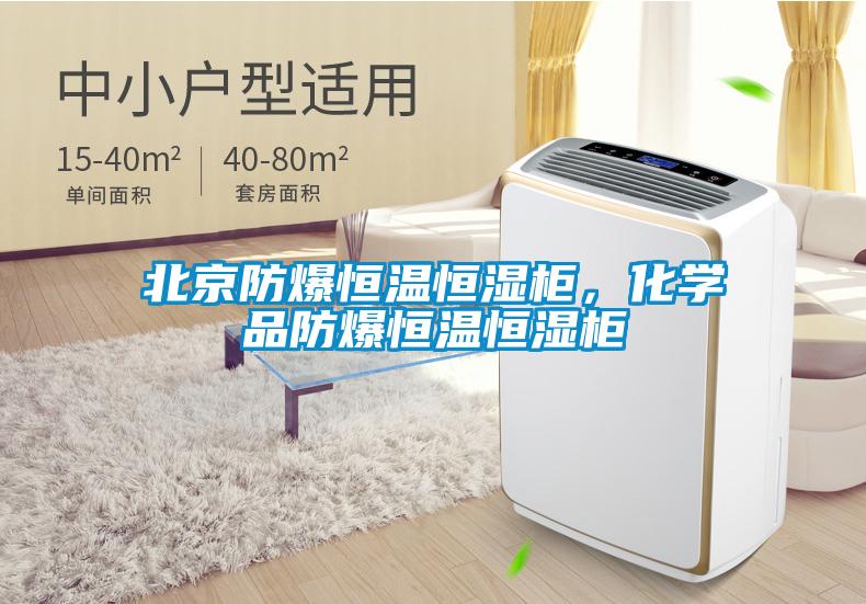 北京防爆恒温恒湿柜，化学品防爆恒温恒湿柜