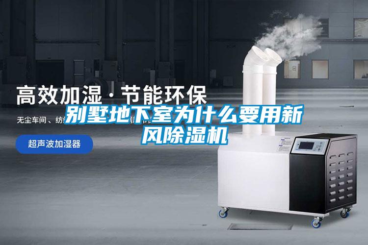 别墅地下室为什么要用新风粉色视频免费在线观看