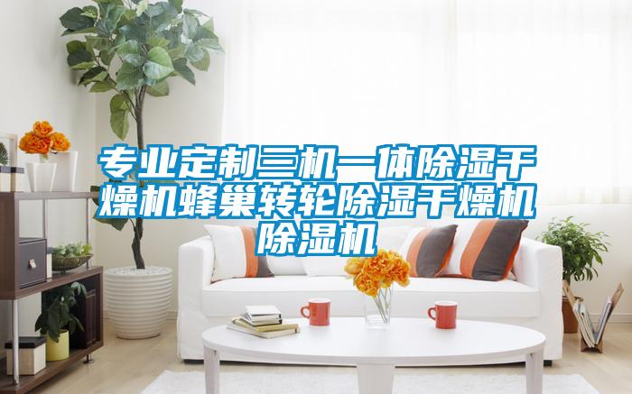 专业定制三机一体除湿干燥机蜂巢转轮除湿干燥机粉色视频免费在线观看