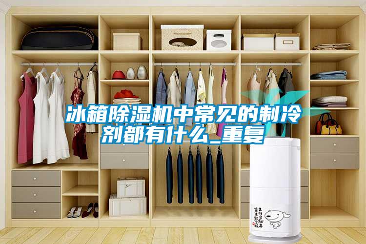 冰箱粉色视频免费在线观看中常见的制冷剂都有什么_重复