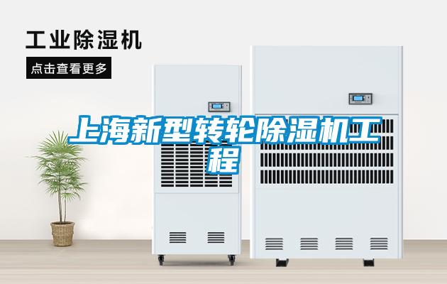 上海新型转轮粉色视频免费在线观看工程