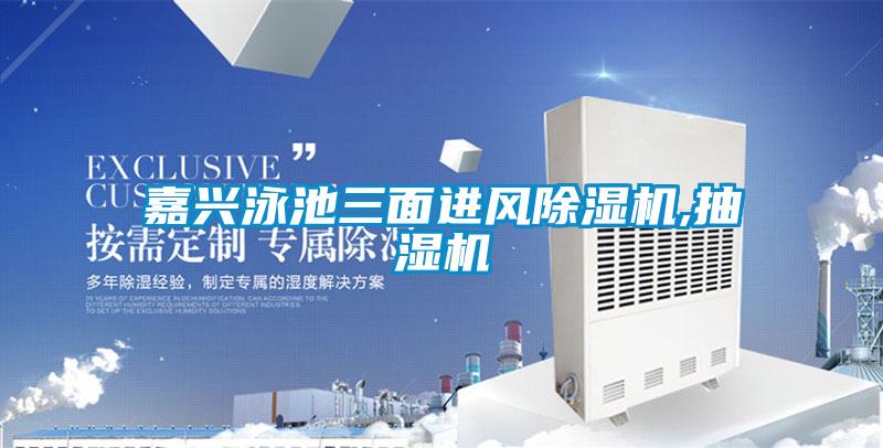 嘉兴泳池三面进风粉色视频免费在线观看,抽湿机
