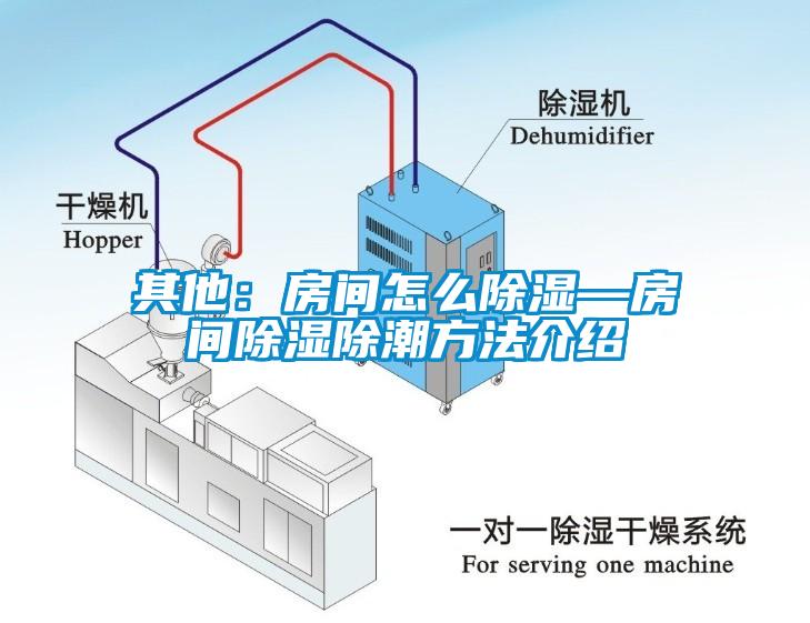 其他：房间怎么除湿—房间除湿除潮方法介绍