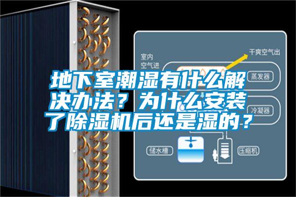 地下室潮湿有什么解决办法？为什么安装了粉色视频免费在线观看后还是湿的？