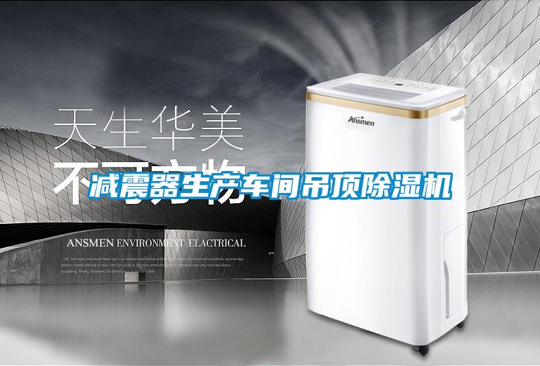 减震器生产车间吊顶粉色视频免费在线观看