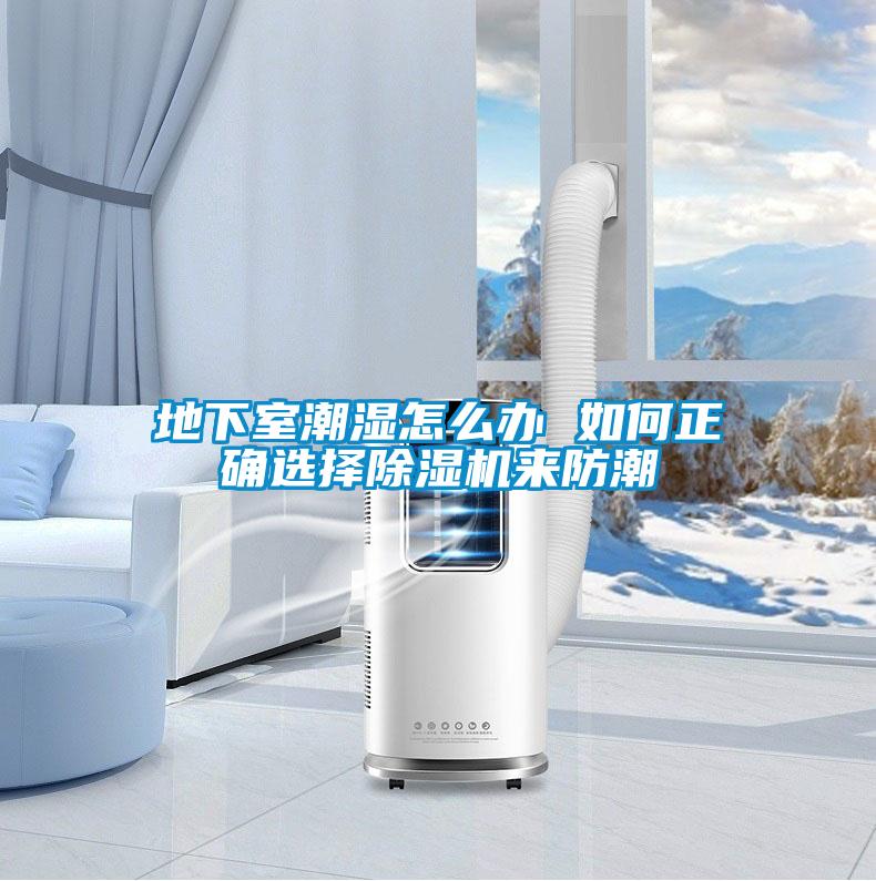 地下室潮湿怎么办 如何正确选择粉色视频免费在线观看来防潮