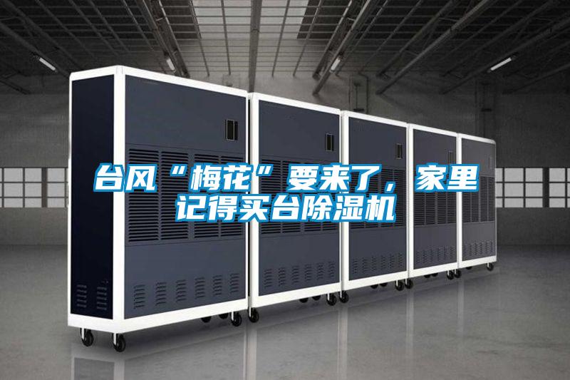 台风“梅花”要来了，家里记得买台粉色视频免费在线观看