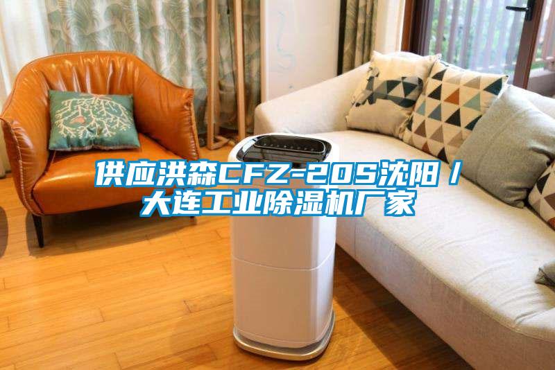 供应洪森CFZ-20S沈阳／大连工业粉色视频免费在线观看厂家
