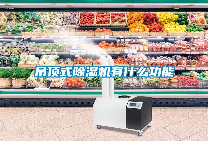 吊顶式粉色视频免费在线观看有什么功能