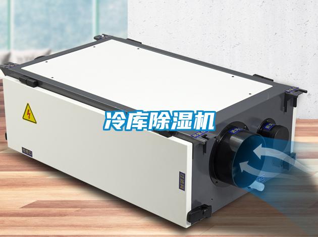 冷库粉色视频免费在线观看