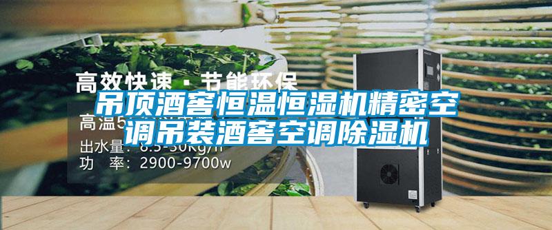 吊顶酒窖恒温恒湿机精密空调吊装酒窖空调粉色视频免费在线观看