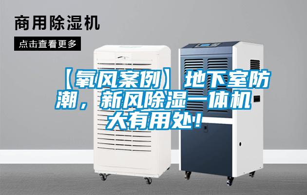 【氧风案例】地下室防潮，新风除湿一体机大有用处！