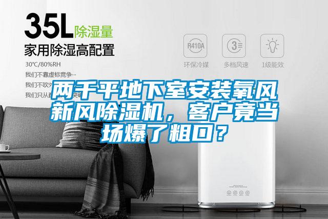 两千平地下室安装氧风新风粉色视频免费在线观看，客户竟当场爆了粗口？