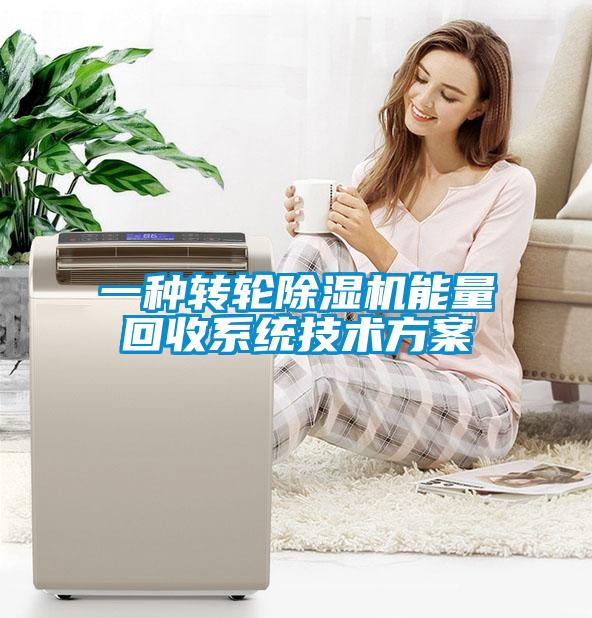 一种转轮粉色视频免费在线观看能量回收系统技术方案