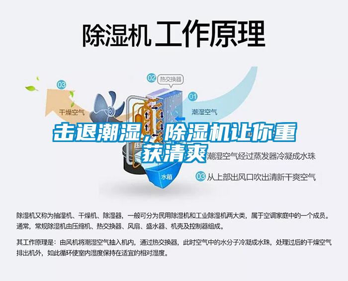 击退潮湿，粉色视频免费在线观看让你重获清爽