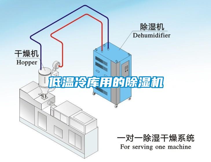 低温冷库用的粉色视频免费在线观看