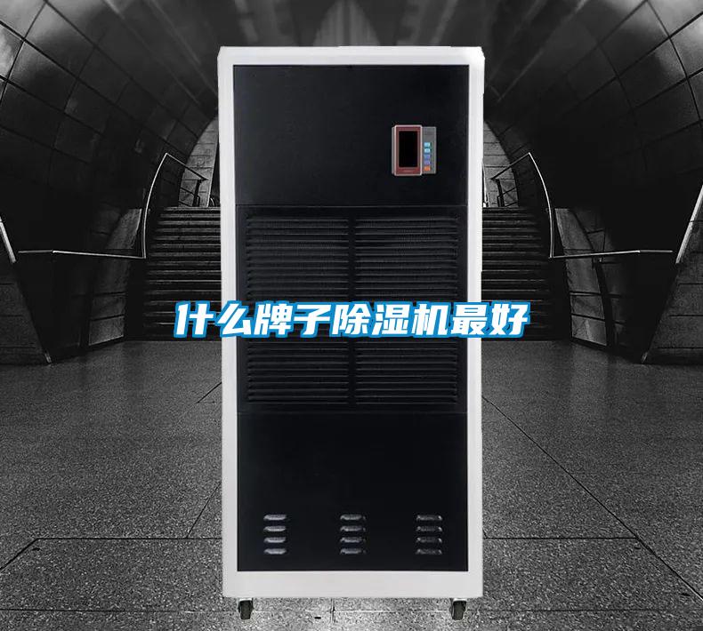 什么牌子粉色视频免费在线观看最好
