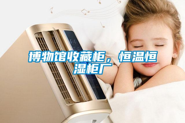 博物馆收藏柜，恒温恒湿柜厂