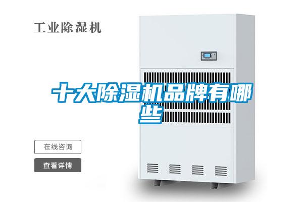 十大粉色视频免费在线观看品牌有哪些